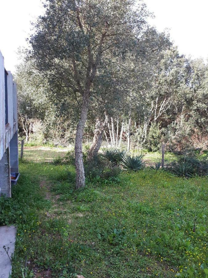 Villa Casa Ghje Porto-Vecchio  Exterior foto